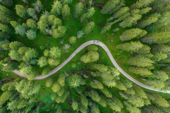 An aerial image of a road through a forest 