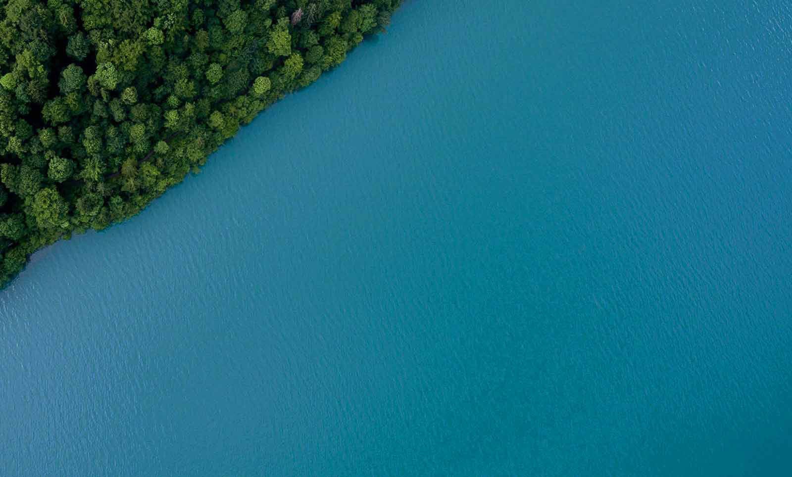 blue ocean and trees