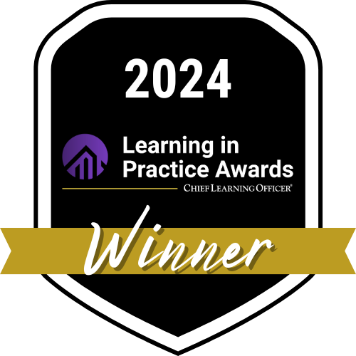 Learning in Practice gold 2024