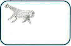 giraffe sketch 2