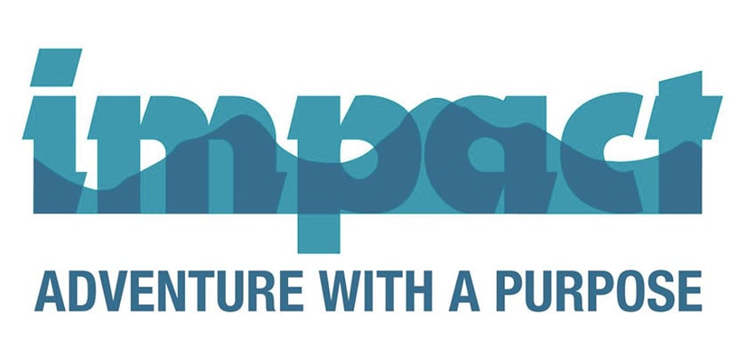 Impact original logo