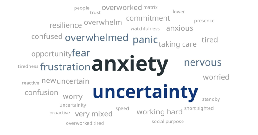 What feelings are you observing in your organisation?