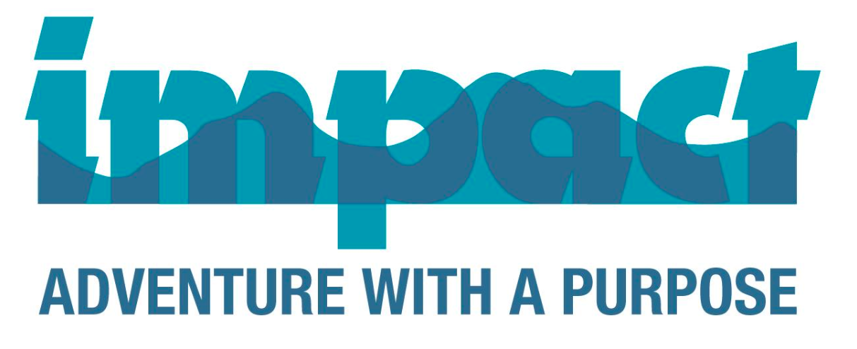 Impact original logo