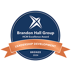 bronze brandon hall award