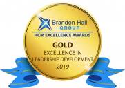 Gold award for Best Advance in Leadership Development