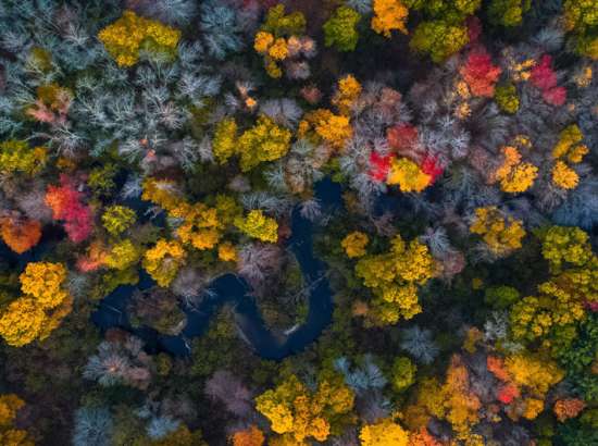 The unwritten rules of organisational change