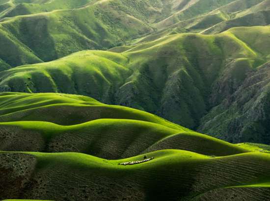 The adventure path