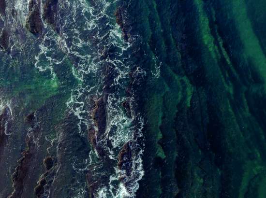 Waves in the sea