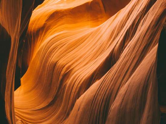 The role of feedback in human-centred organisations 