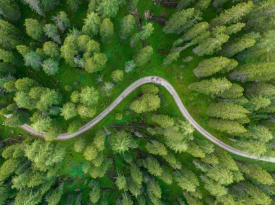 An aerial image of a road through a forest 