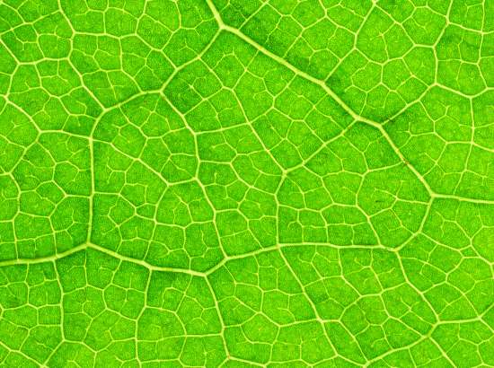 HR.com article