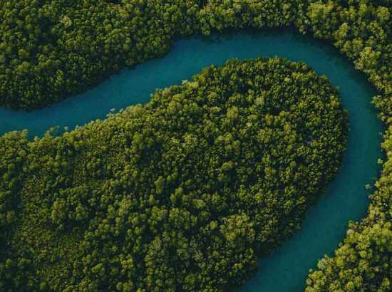 road form above among forest