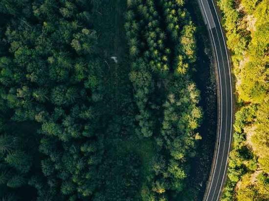 road and forest form above