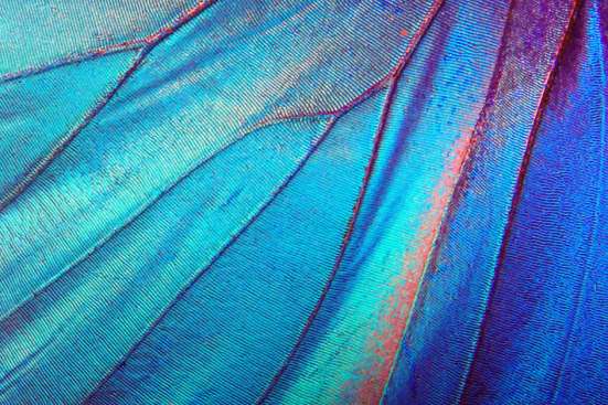 How to breathe life into digital learning