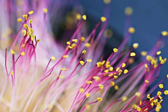 website-images-PIN36_0