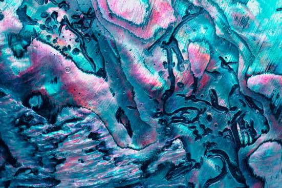 website-images-PIN46