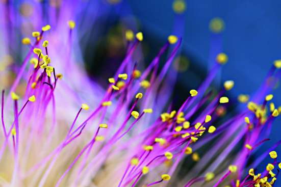 Affrontare il cambiamento