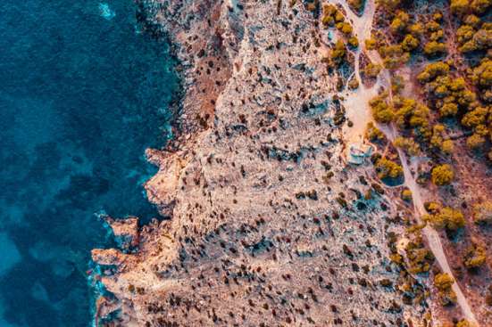 Water, beach and forest