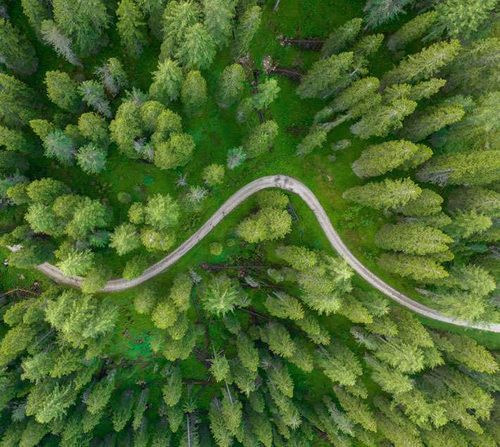 An aerial image of a road through a forest 