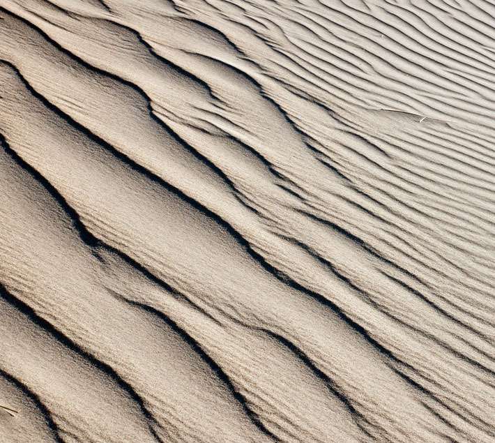 Rripples in the sand