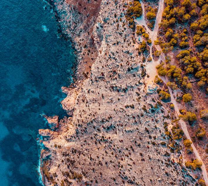 Water, beach and forest