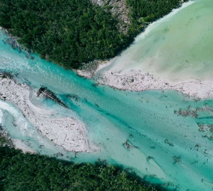 River and forest from above