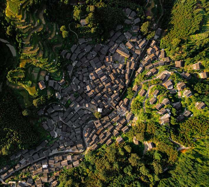 Town by the rice fields