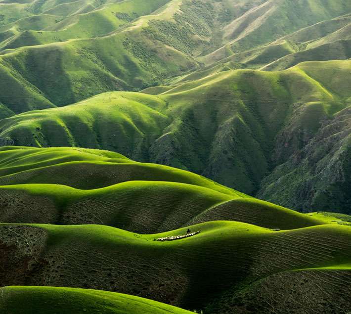 Green hills