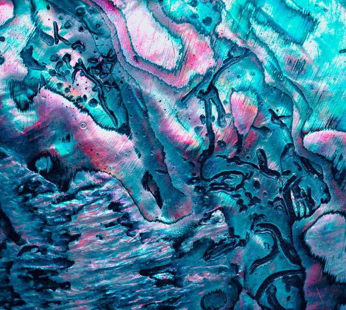 website-images-PIN46