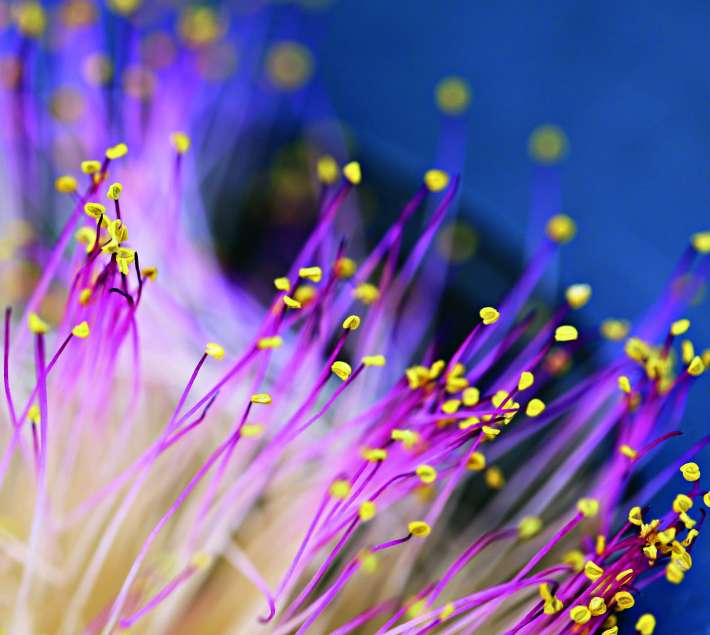 Affrontare il cambiamento