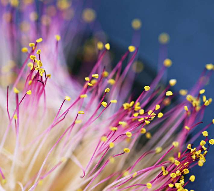 website-images-PIN36