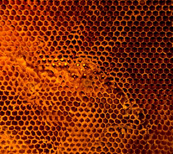 Honeycomb
