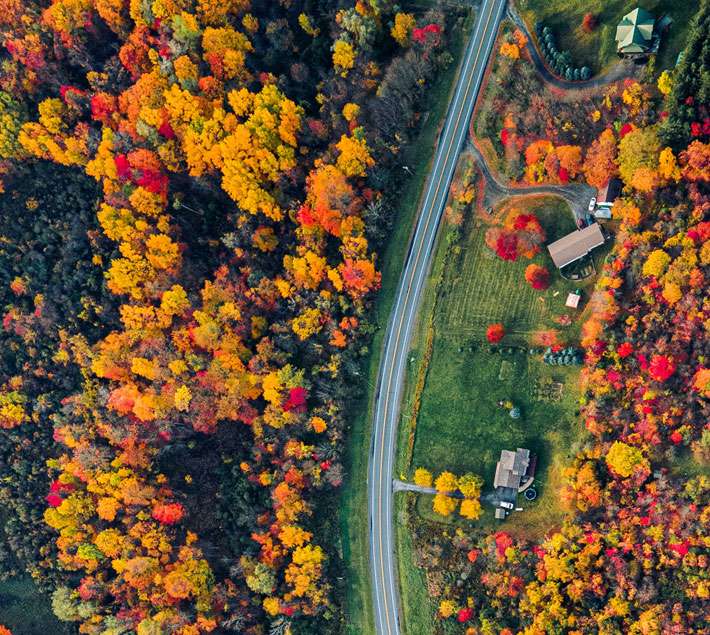 Autumn from above