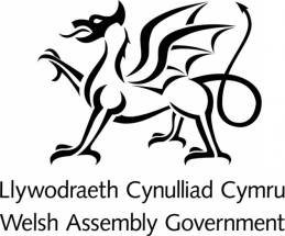 Welsh assembly government lgoo