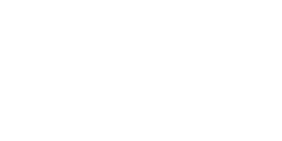 carview logo white