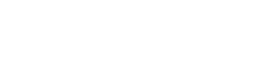 Discovery Networks International Logo