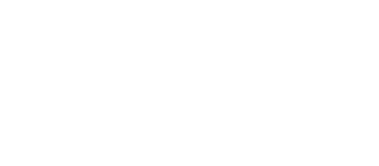 Goodyear Dunlop logo