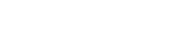 Pirelli Steelcord logo
