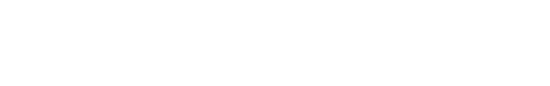 Newton logo
