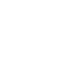 toyota logo
