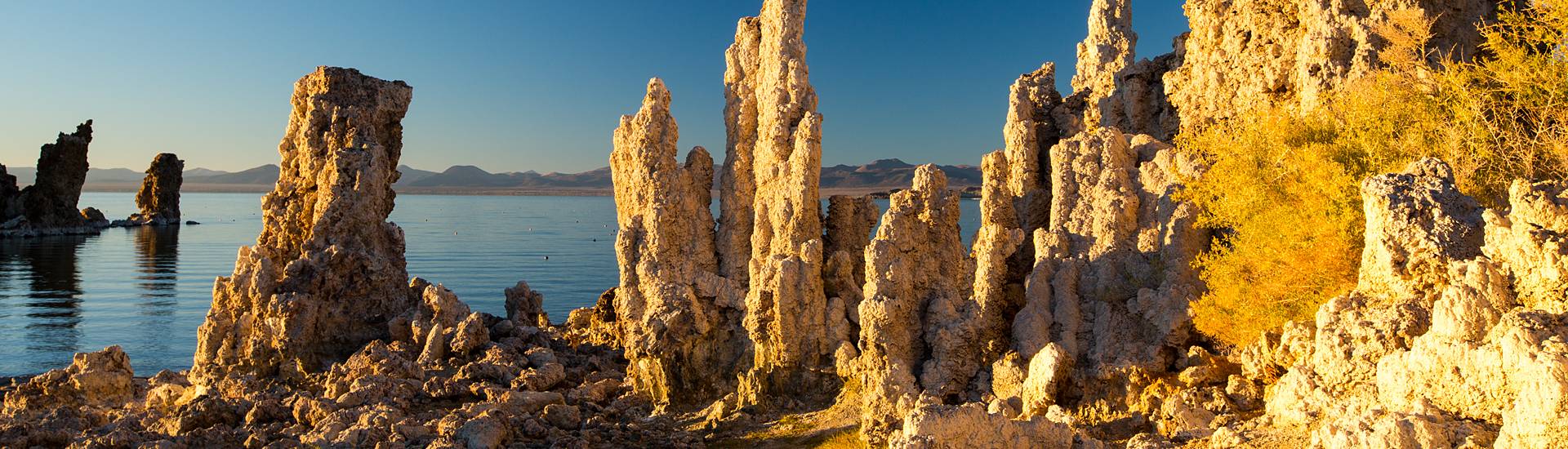 rocks