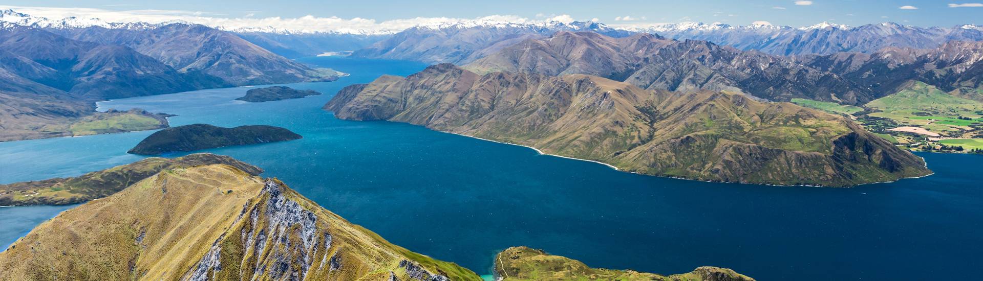 meet the team new zealand