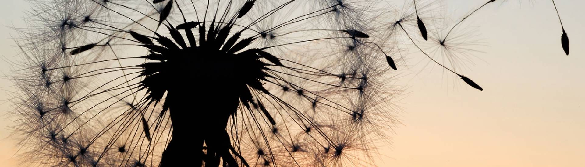 Business and the Sustainable Development Goals: what do they mean for you?