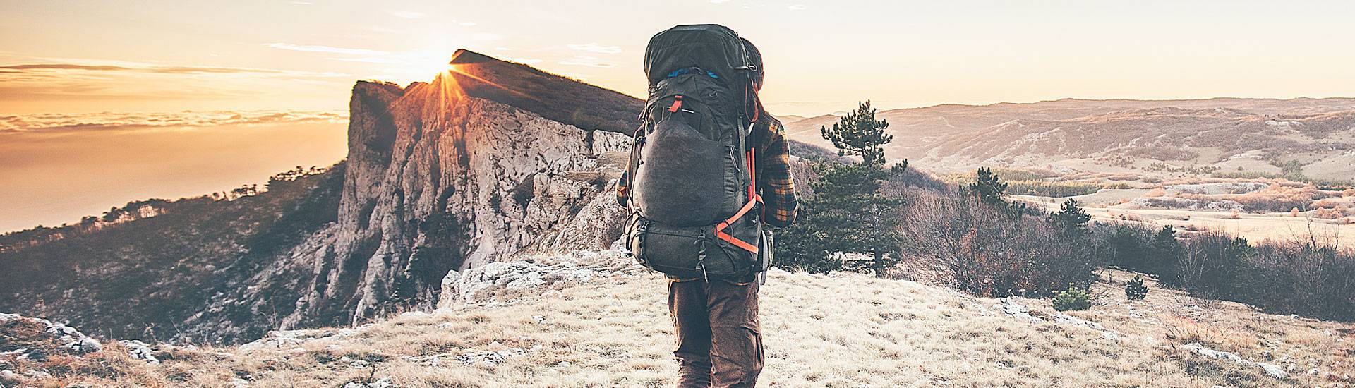 rewild yourself article impact