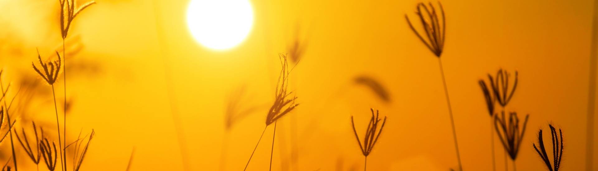 Sustainable develoment is good for UK business