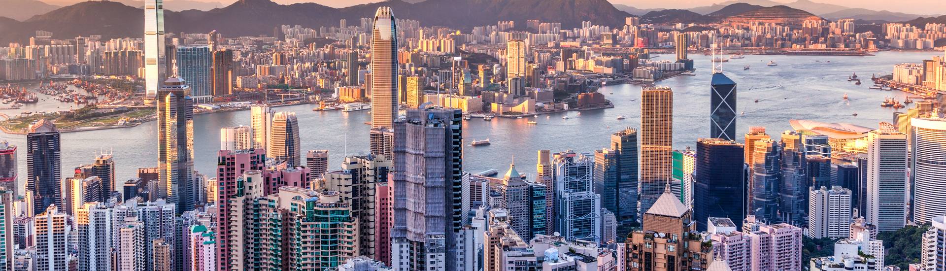 how we work with you impact china
