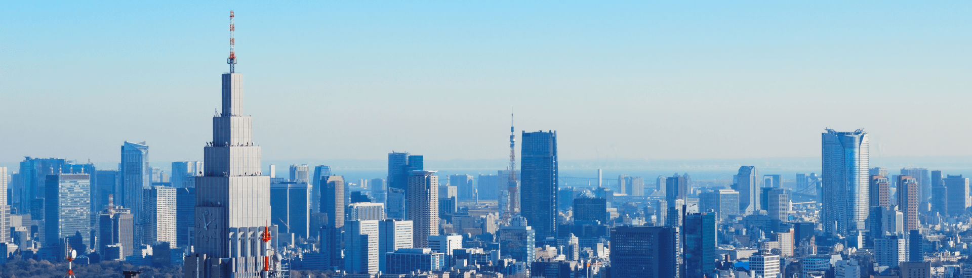 meet the team in japan