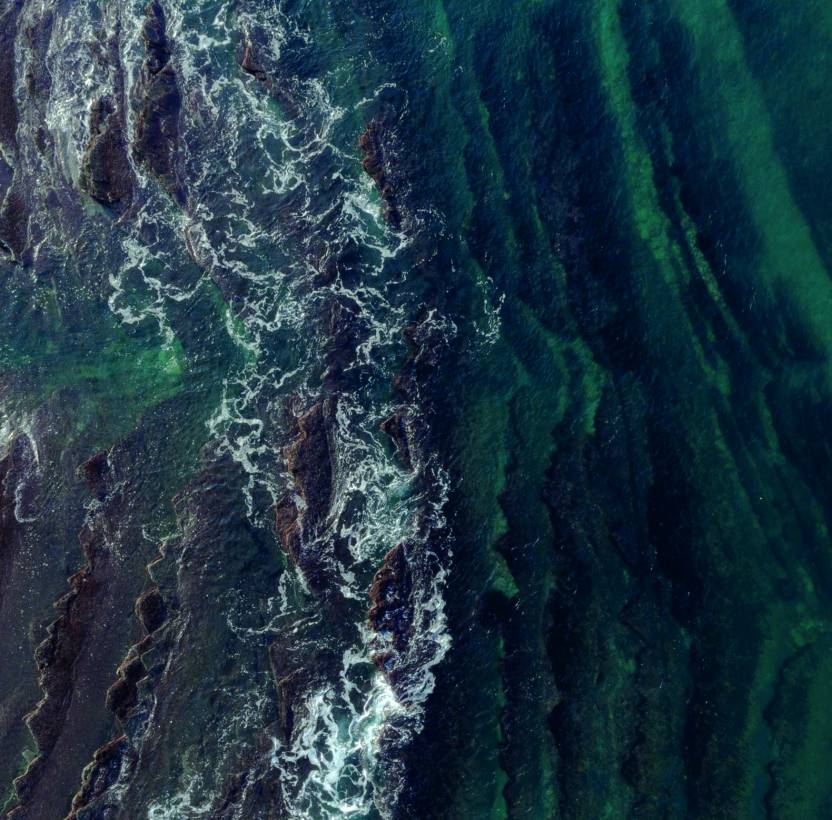 Waves in the sea