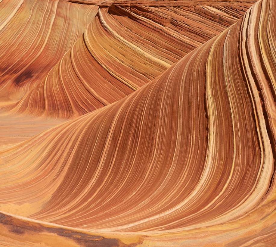 rocks