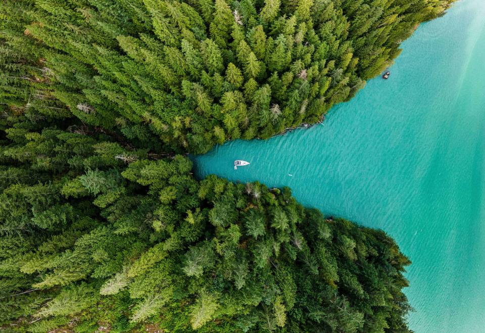 Aerial image of river and forest 